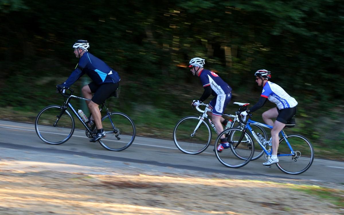 Picture from the New Forest Wiggle 2013. Weekend in Pictures October 5th - 6th, 2013