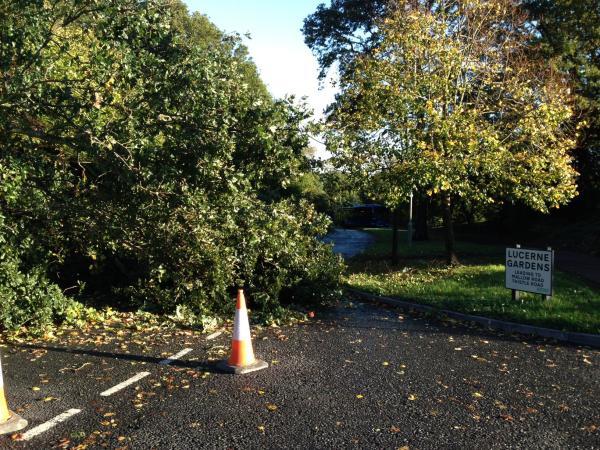 Bill Bowne captured this scene on Tollbar Way in Hedge End this morning. A tree lying across the road and a bus skidded on leaves. Pictures from the aftermath of the winds which rose up to 100 MPH. October 28, 2013.