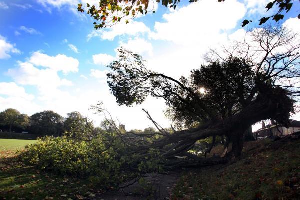 Pictures from the aftermath of the winds which rose up to 100 MPH. October 28, 2013.