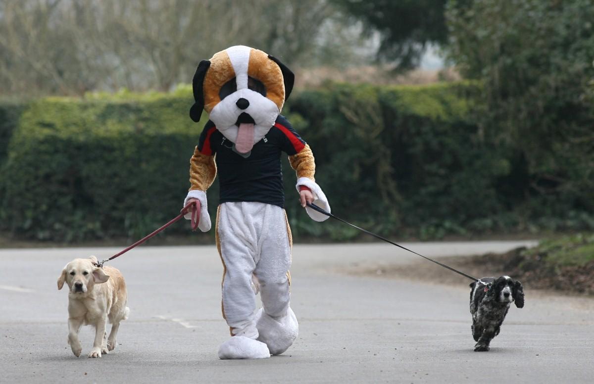 The Year in Pictures - 2013 - Jim Suswain who ran two half marathons dressed as a dog. March 27, 2013.