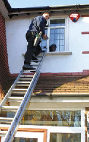 BRAVE: Barry Parr grabbed his ladder to climb a tree