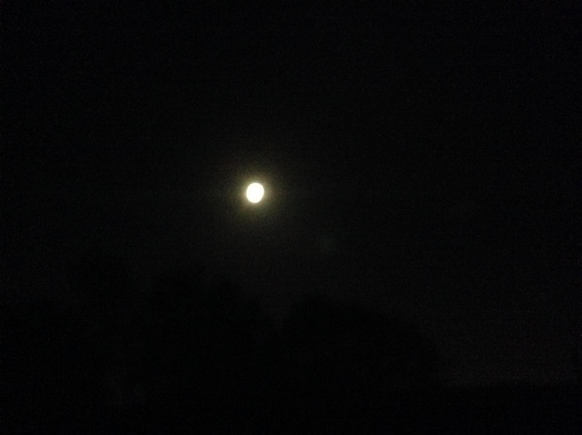 Super moon taken at 2.15 am 11th August 2014. Regards Jenny Gale, Freemantle,Southampton.