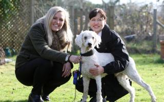 Daily Echo reporter Charlotte Neal, Dave the dog, and RSPCA inspector Jan Edwards