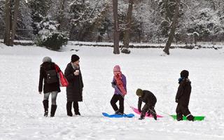 Families playing in the snow