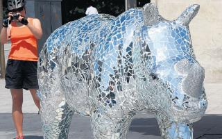 'Glint' the rhino in Guildhall Square