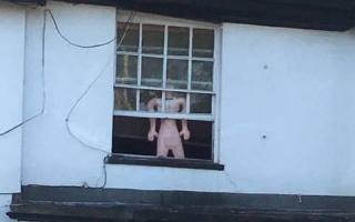 'Disgusting' sex doll seen in hotel window