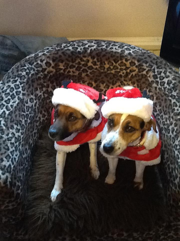 Daisy and Ruby from Lesley Strevens - 0701