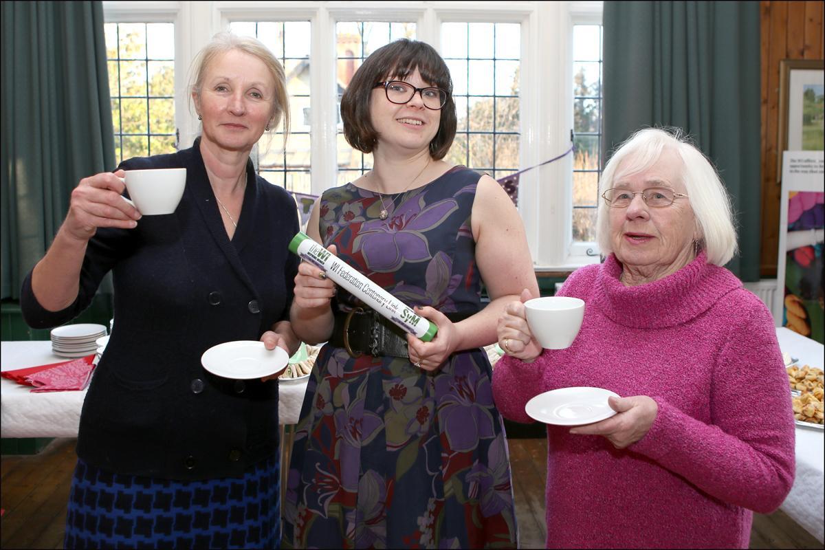 Pictures from the WI Centenary Baton events. Portswood Pavilion