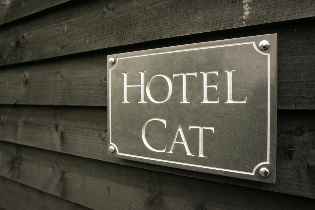 Hotel Cat - the hotel for cats