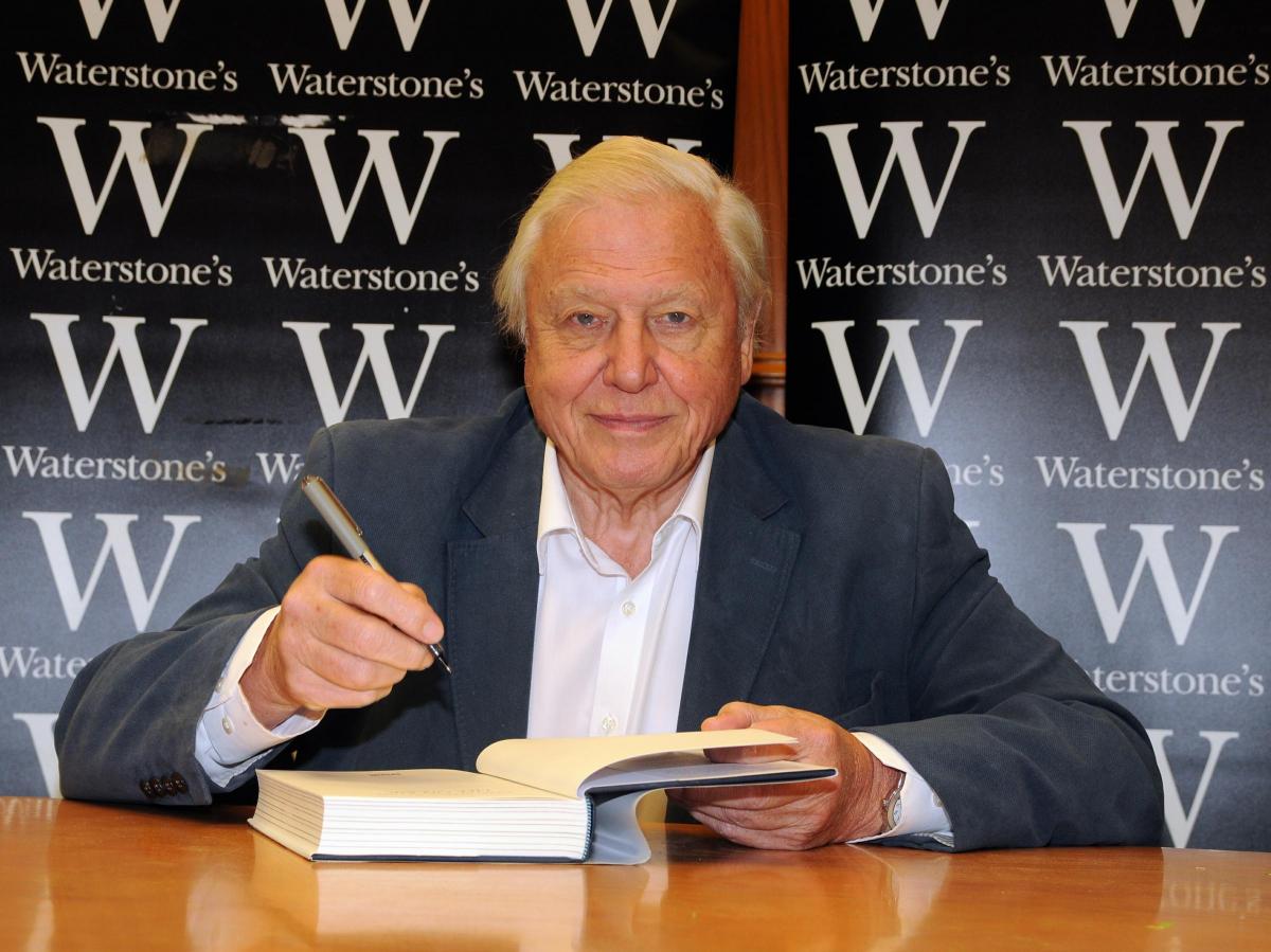 TV Presenter Sir David Attenborough: "Dealing with global warming means that we have to stop waste.  If you travel for no reason whatsoever, that is a waste."