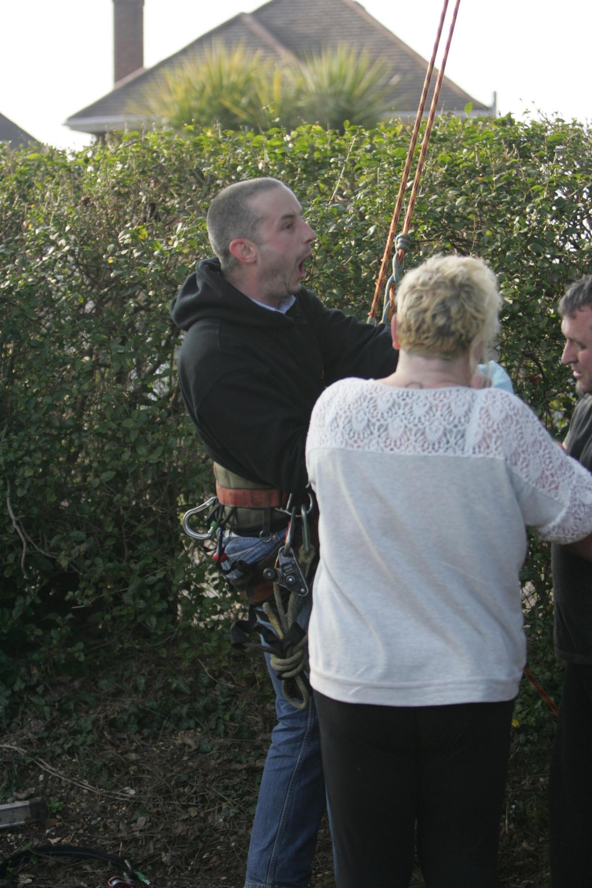 Full coverage of how Gonzo the parrot was rescued after becoming stranded 40ft up a tree in Southampton