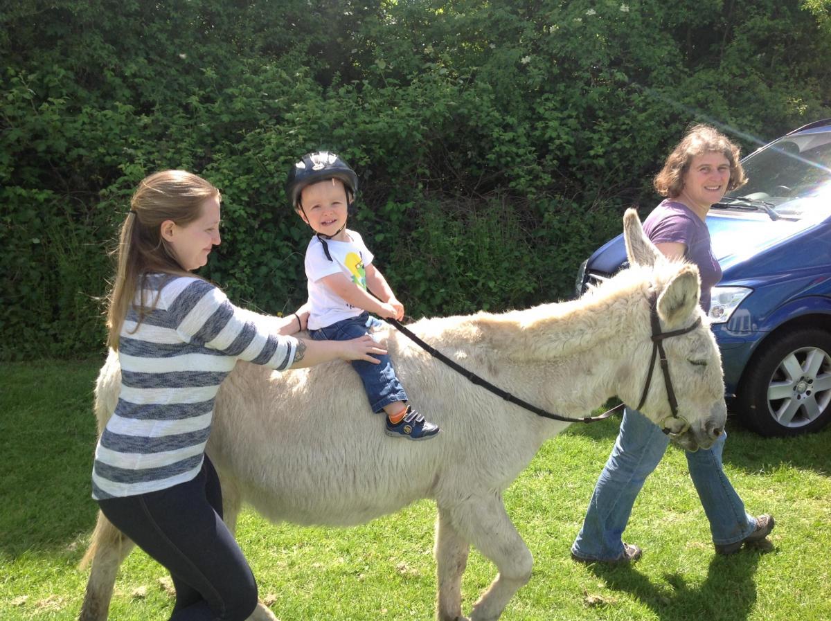 Alexander Stevenson, 2, of Lordshill, enjoying a donkey ride