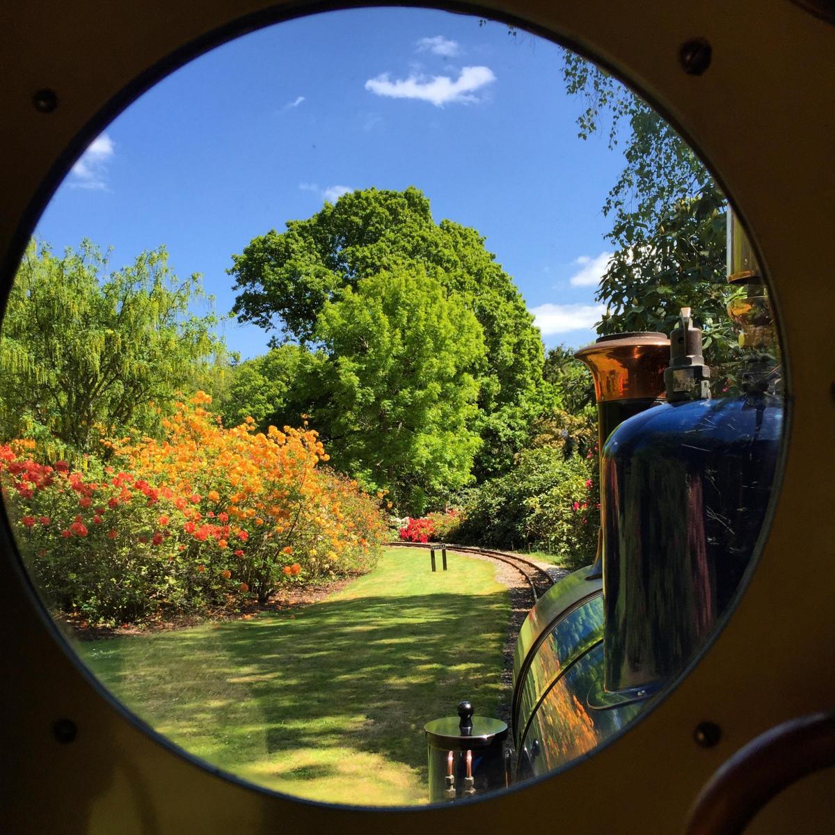 View from the Footplate by Marie-Louise Agiu