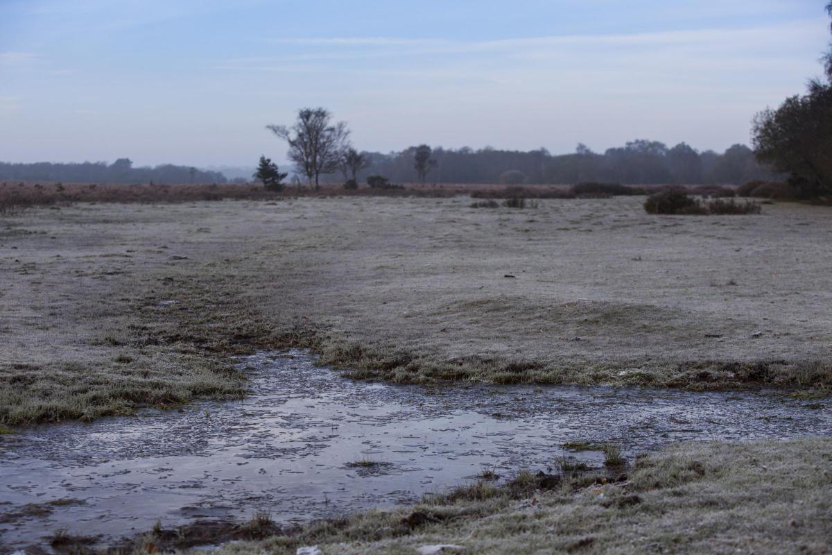 Icy weather as temperatures plummet across Hampshire