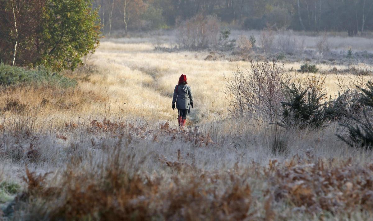 Icy weather as temperatures plummet across Hampshire