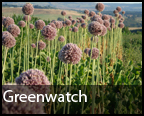 Greenwatch
