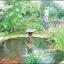 BUTTERFLY World and Fountain World