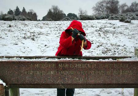 Snow covers Hampshire - Breaking the ice on a drinking trough at Bolton's Bench from Barry Barnett