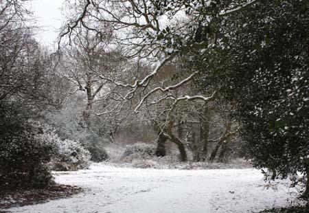 Snow covers Hampshire - Picture by Ray Routledge