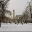 Snow just a memory as Hampshire's big thaw continues