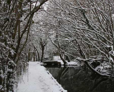 Snow covers Hampshire - Snowy scene in Alresford