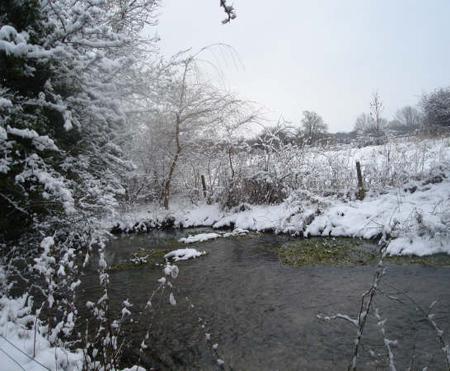Snow covers Hampshire - River snow scene by Elizabeth Wombell
