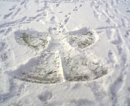 Snow covers Hampshire - A snow angel made by Imogen Hedges angel