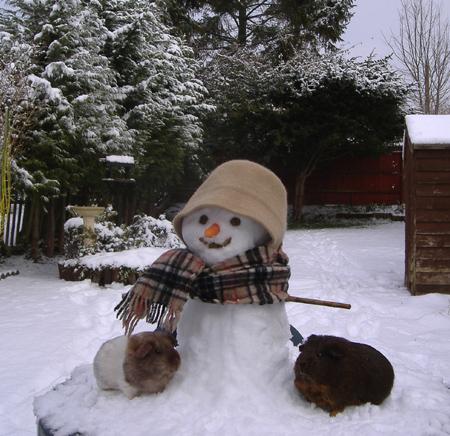 Snow covers Hampshire - Happy snowman taken by Lizzie Haidar