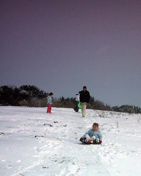 Snow covers Hampshire - Snow fun on Pepperbox Hill from Tracy