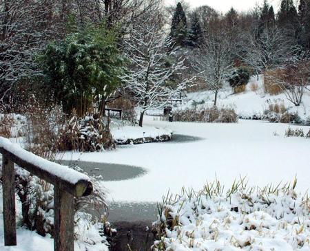 Snow covers Hampshire - Hilliers Arboretum by Tracy Fripp