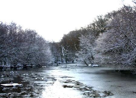Snow covers Hampshire - Jenny Lees took this pic of a snow covered pond at Netley