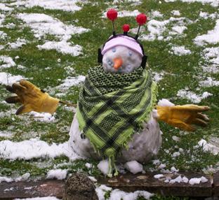 Snow covers Hampshire - Garden snowman from Ellen Moody