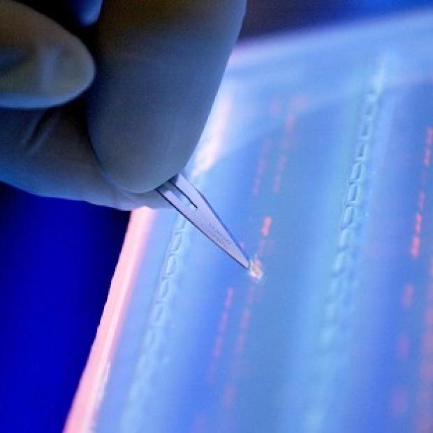 DNA testing