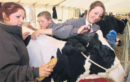 UDDERLY BRILLIANT: Emily, Edward and Jane Farwell with
Dee Dee the cow.