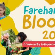 The Fareham in Bloom poster