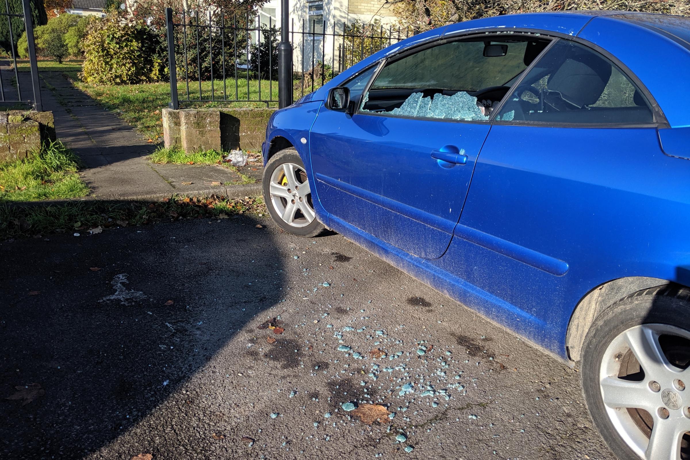 Vandals damaged at least 10 vehicles in the Millbrook and Redbridge area on Saturday night