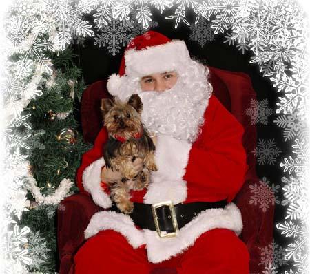 Spike the Yorkshire Terrier with Father Christmas from Lesley Howard