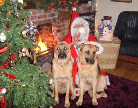 Dusty and Mitzi with Santa Claus from M Davies