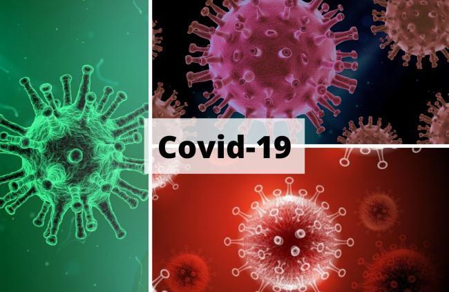 Coronavirus: Two more deaths and more than 500 positive cases in Southampton
