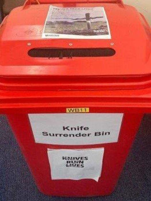 A knife amnesty will be held in the New Forest. Picture: Lymington and New Milton cops