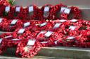 Poppy wreaths at Southampton Cenotaph