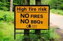 The recent hot weather has sparked fears that wildfires could break out in the New Forest. Picture: Forestry England.