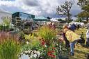 Autumn is 'blooming' with The Garden Show