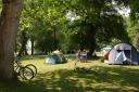 Forestry England-owned campsites in the New Forest could be run by the charity that stages the New Forest Show.