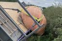 Britain's biggest pumpkin causes traffic chaos after falling off its trailer