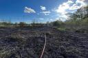 Firefighters tackle blaze at Winchester nature reserve