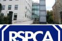Southampton Magistrates Court and RSPCA logo