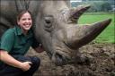 Keeper Lucy MacGregor with rhino Hannu