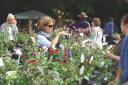 Shopping at The Garden Show at Broadlands