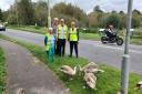Volunteers team up to watch over family of swans in Bishop's Waltham